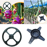 Maxbell Dragon Fruit Trellis Plant Trellis for Potted Plants for Fruits Yard Balcony top