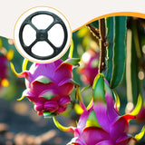 Maxbell Dragon Fruit Trellis Plant Trellis for Potted Plants for Fruits Yard Balcony top