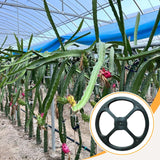 Maxbell Dragon Fruit Trellis Plant Trellis for Potted Plants for Fruits Yard Balcony top