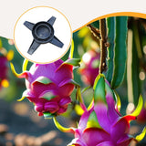 Maxbell Dragon Fruit Trellis Plant Trellis for Potted Plants for Fruits Yard Balcony base