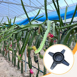 Maxbell Dragon Fruit Trellis Plant Trellis for Potted Plants for Fruits Yard Balcony base