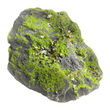 Maxbell Artificial Moss Rock Green Moss Covered Stone for Woodland Displays Crafting 17cmx17cmx12cm