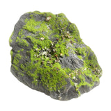Maxbell Artificial Moss Rock Green Moss Covered Stone for Woodland Displays Crafting 17cmx17cmx12cm