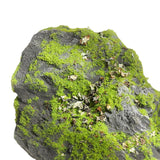 Maxbell Artificial Moss Rock Green Moss Covered Stone for Woodland Displays Crafting 17cmx17cmx12cm