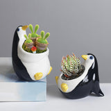 Maxbell Planter Cute Compact Space Saving Practical Plant Pot for Desks Patio Garden 7.9cmx11cmx7.4cm