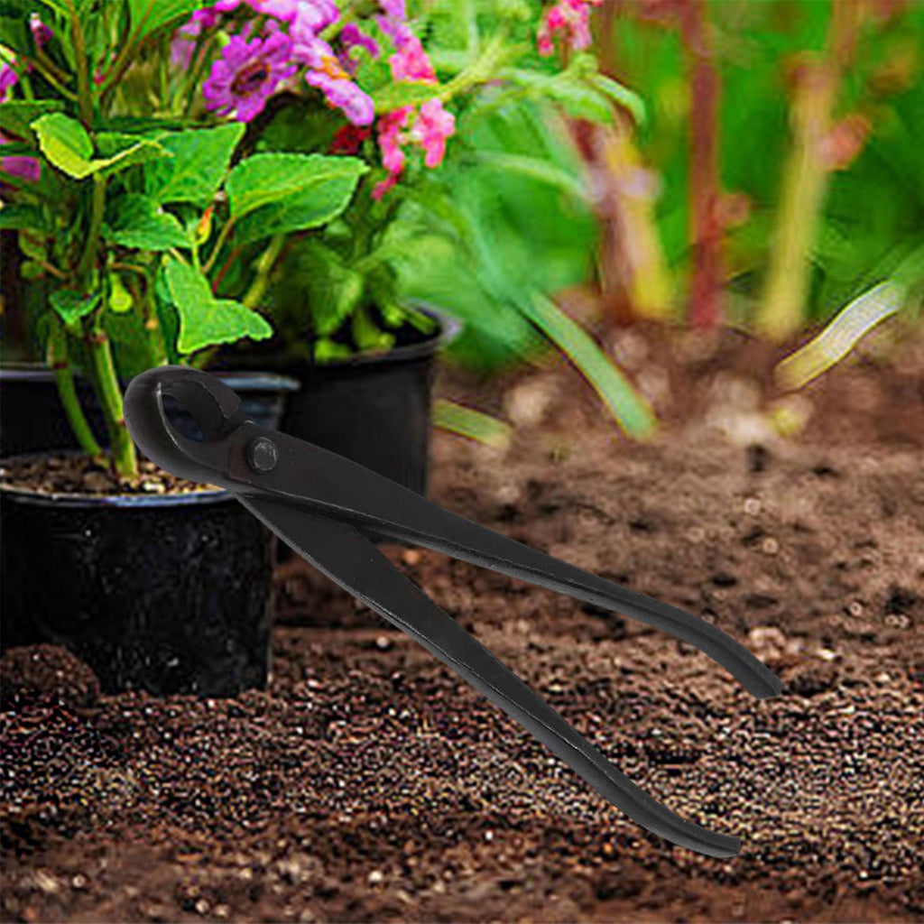 bonsai tree clippers ⚡️Buy Maxbell Bonsai Scissors Tree Clippers Easy to Use Bonsai Pruning Pliers Bonsai Tool at the best price with offers in India. Maxbell Bonsai Scissors Tree Clippers Easy to Use Bonsai Pruning