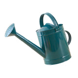 Maxbell Metal Watering Can Gardening Tool for Indoor & Outdoor Houseplants Household blue