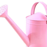 Maxbell Metal Watering Can Gardening Tool for Indoor & Outdoor Houseplants Household pink