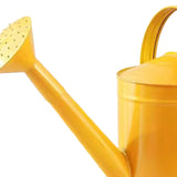 Maxbell Metal Watering Can Gardening Tool for Indoor & Outdoor Houseplants Household golden