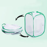 Maxbell Butterfly Catching Cage Seedling Cultivation Box for Outdoor Garden Backyard M