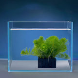 Maxbell 5 Pieces Aquarium Plant Holder Fish Tank Decoration Water Grass Planting Cup