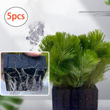 Maxbell 5 Pieces Aquarium Plant Holder Fish Tank Decoration Water Grass Planting Cup