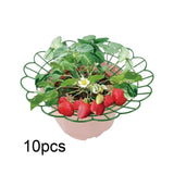 Maxbell 10Pcs Strawberry Support Strawberry Growing Rack for Yard Outdoor Greenhouse