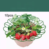 Maxbell 10Pcs Strawberry Support Strawberry Growing Rack for Yard Outdoor Greenhouse