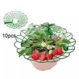 Maxbell 10Pcs Strawberry Support Strawberry Growing Rack for Yard Outdoor Greenhouse