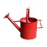 Maxbell Plant Watering Can Ergonomic Handle Multipurpose Comfortable Grip Large 3.5L