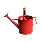 Maxbell Plant Watering Can Ergonomic Handle Multipurpose Comfortable Grip Large 3.5L