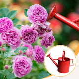 Maxbell Plant Watering Can Ergonomic Handle Multipurpose Comfortable Grip Large 3.5L