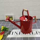 Maxbell Plant Watering Can Ergonomic Handle Multipurpose Comfortable Grip Large 3.5L