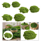 Maxbell False Moss Ornaments Simulated Green Plants for Terrariums Garden Plant Pots S Light Green