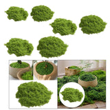 Maxbell False Moss Ornaments Simulated Green Plants for Terrariums Garden Plant Pots S Light Green