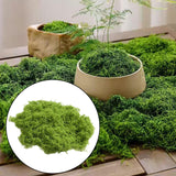 Maxbell False Moss Ornaments Simulated Green Plants for Terrariums Garden Plant Pots S Light Green
