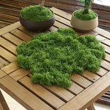 Maxbell False Moss Ornaments Simulated Green Plants for Terrariums Garden Plant Pots S Dark Green