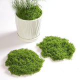Maxbell False Moss Ornaments Simulated Green Plants for Terrariums Garden Plant Pots S Dark Green