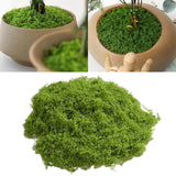 Maxbell False Moss Ornaments Simulated Green Plants for Terrariums Garden Plant Pots M Dark Green