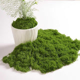 Maxbell False Moss Ornaments Simulated Green Plants for Terrariums Garden Plant Pots M Dark Green