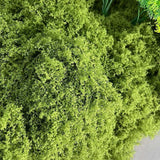 Maxbell False Moss Ornaments Simulated Green Plants for Terrariums Garden Plant Pots M Dark Green