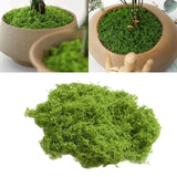 Maxbell False Moss Ornaments Simulated Green Plants for Terrariums Garden Plant Pots L Light Green