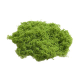 Maxbell False Moss Ornaments Simulated Green Plants for Terrariums Garden Plant Pots L Light Green