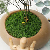 Maxbell False Moss Ornaments Simulated Green Plants for Terrariums Garden Plant Pots L Dark Green