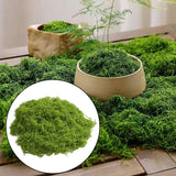 Maxbell False Moss Ornaments Simulated Green Plants for Terrariums Garden Plant Pots L Dark Green