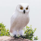Maxbell Owl Statue Decoration Collection Funny Owl Figurine for Home Patio Fireplace Style A