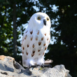 Maxbell Owl Statue Decoration Collection Funny Owl Figurine for Home Patio Fireplace Style B
