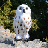 Maxbell Owl Statue Decoration Collection Funny Owl Figurine for Home Patio Fireplace Style B