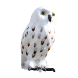 Maxbell Owl Statue Decoration Collection Funny Owl Figurine for Home Patio Fireplace Style B