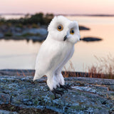 Maxbell Owl Statue Decoration Collection Funny Owl Figurine for Home Patio Fireplace Style D