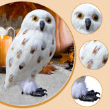 Maxbell Owl Statue Decoration Collection Funny Owl Figurine for Home Patio Fireplace Style F