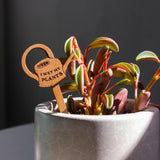 Maxbell 2Pcs Plant Labels Yard Art Decor Decorations Creative Flower Pot Decor Signs