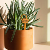 Maxbell 2Pcs Plant Labels Yard Art Decor Decorations Creative Flower Pot Decor Signs