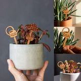 Maxbell 2Pcs Plant Labels Yard Art Decor Decorations Creative Flower Pot Decor Signs