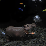 Maxbell Air Bubbler Hippo Fish Tank Bubbler Decoration for Hermit Crab Tank Aquarium 14.5cmx7cmx5.3cm