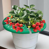 Maxbell 4x Strawberry Plant Supports Lightweight Keep Berries Clean Protection Racks Green