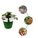 Maxbell 4x Strawberry Plant Supports Lightweight Keep Berries Clean Protection Racks White