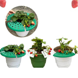 Maxbell 4x Strawberry Plant Supports Lightweight Keep Berries Clean Protection Racks White