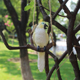 Maxbell Garden Bird Statue Decoration Gift Garden Parrot Figurine for Pond Home Tree White Parrot