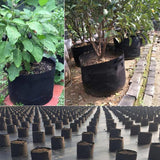 Maxbell Plant Grow Bag Thickened Versatile Growth Bags for Flowers Vegetables Fruits 11 Gallon